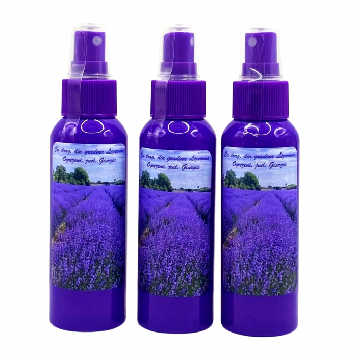 Ofertă 3 Ape florale de lavandă în recipient mov [2]