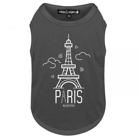 MAIOU - Augustin Paris Tour Eiffel T-shirt Anthracite T 41