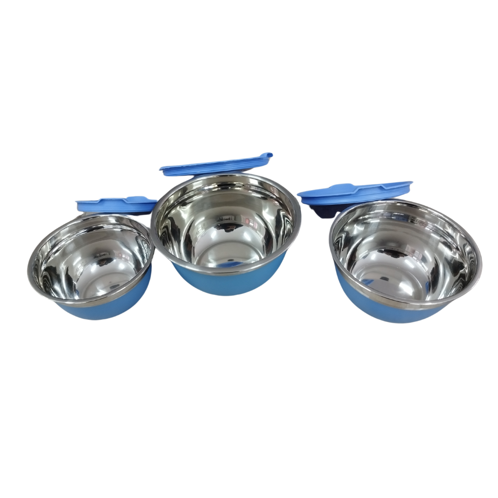 Set 3 Caserole din Inox cu Capace din Plastic – 1,5L, 1,0L, 0,7L – Depozitare Practică și Igienică [5]