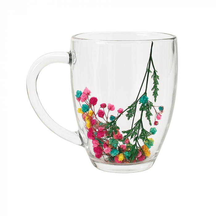 Set 6 Cani Cafea Sticla Perete Dublu Flori Uscate 250 ML