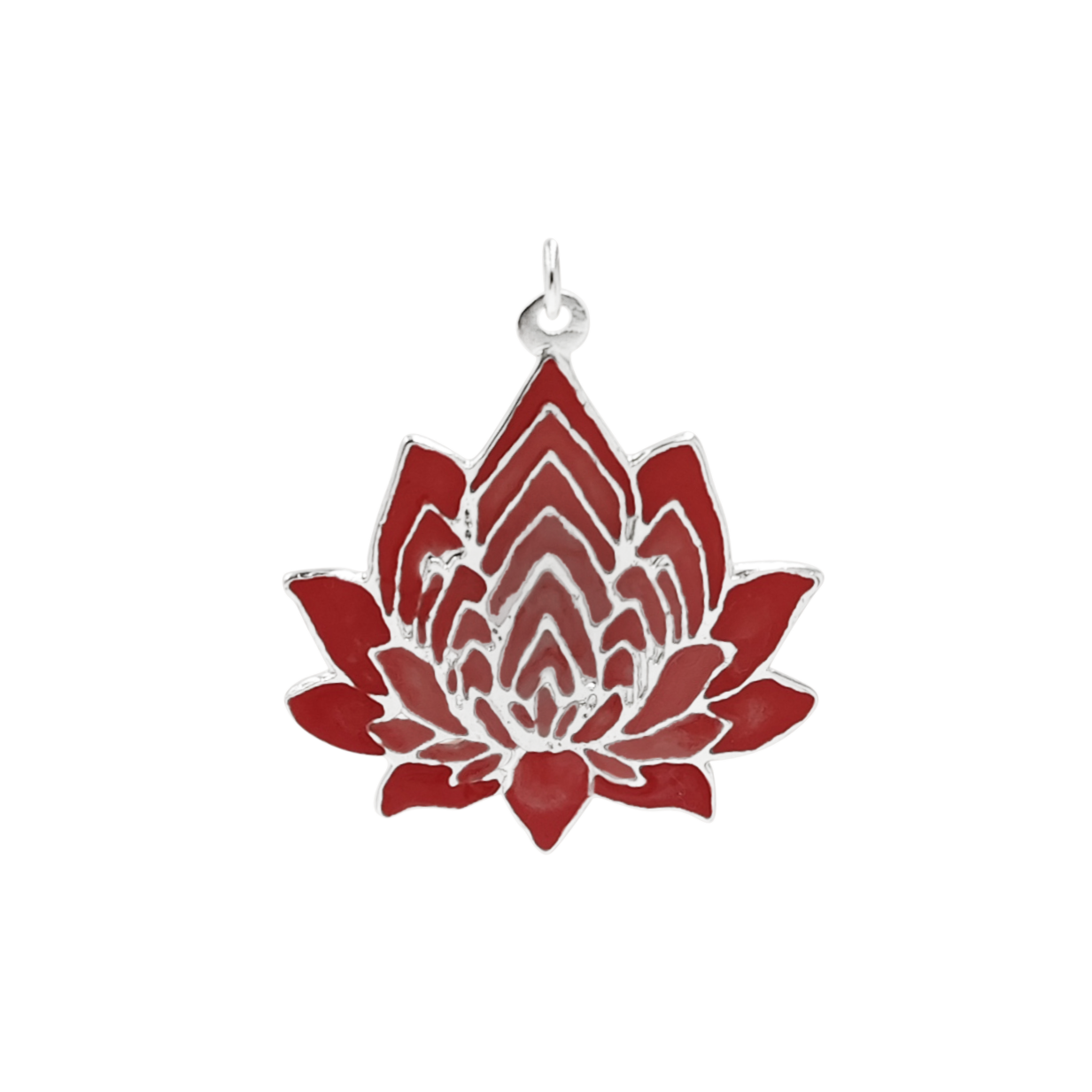 Ce este gravura chimica (Silver etching)