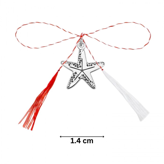 Pandantiv martisor din argint, stea de mare, ambalaj inclus [4]
