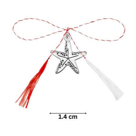 Pandantiv martisor din argint, stea de mare, ambalaj inclus [3]