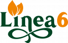 Linea6