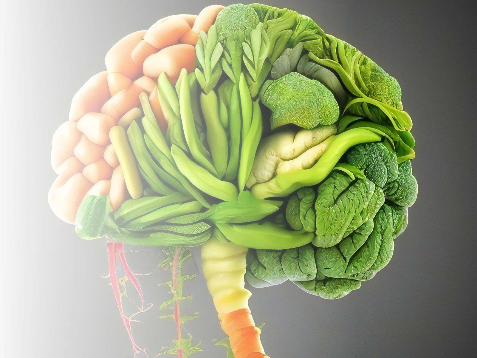 Alimente Low Carb pentru creier: Cum să îți hrănești mintea pentru o funcționare optimă