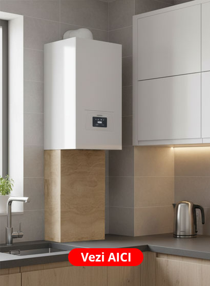 Banner-Masca-centrala