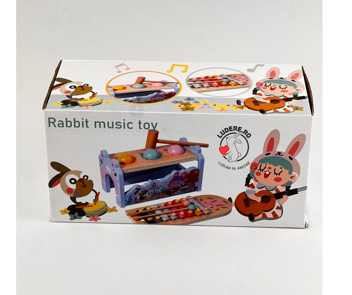 Cutia permanentei joc de lemn cu xilofon montessori [3]