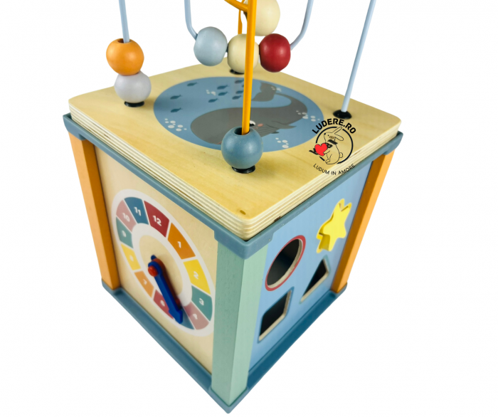 Cub lemn activitati Kabi [5]
