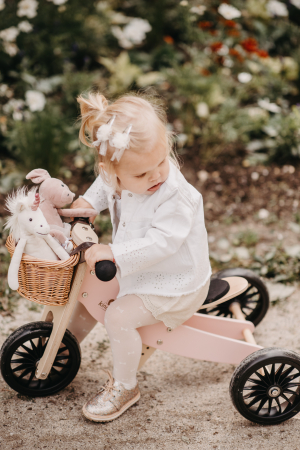 2 in 1 Bicicleta si tricicleta TT PLUS powder pink [4]