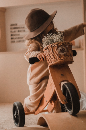 Cos nuiele pentru bicicleta Kinderfeets [3]