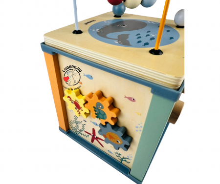 Cub lemn activitati Kabi [3]