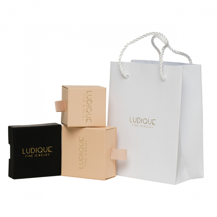 Cercei argint Gold Hoops with Zirconia [2]