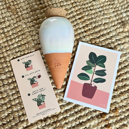 Obiecte decorative - Rezervor de apa din ceramica pentru plante Olla - Alb