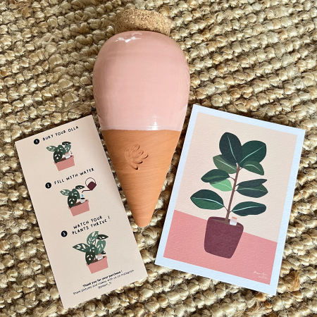 Obiecte decorative - Rezervor de apa din ceramica pentru plante Olla- Roz