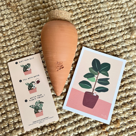 Obiecte decorative - Rezervor de apa din ceramica pentru plante Olla - Teracota