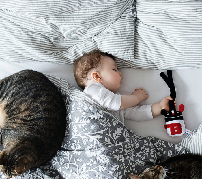 Jucarie Senzoriala Baby MRB [6]