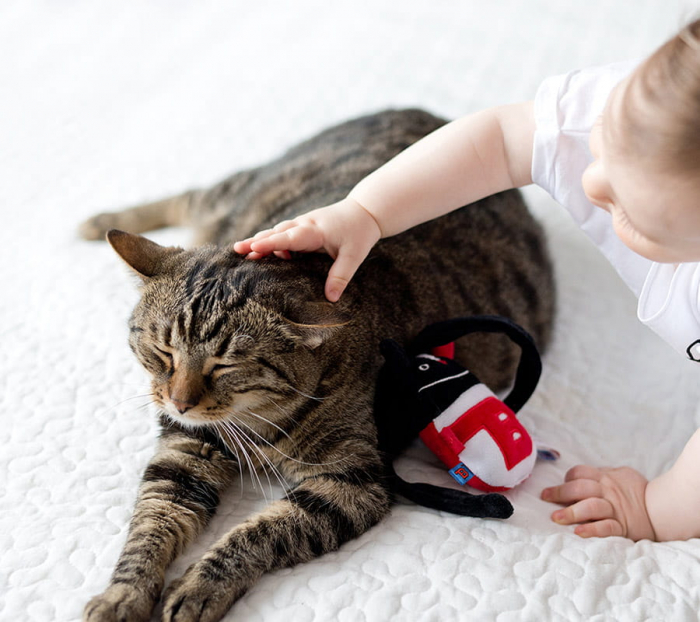 Jucarie Senzoriala Baby MRB [3]