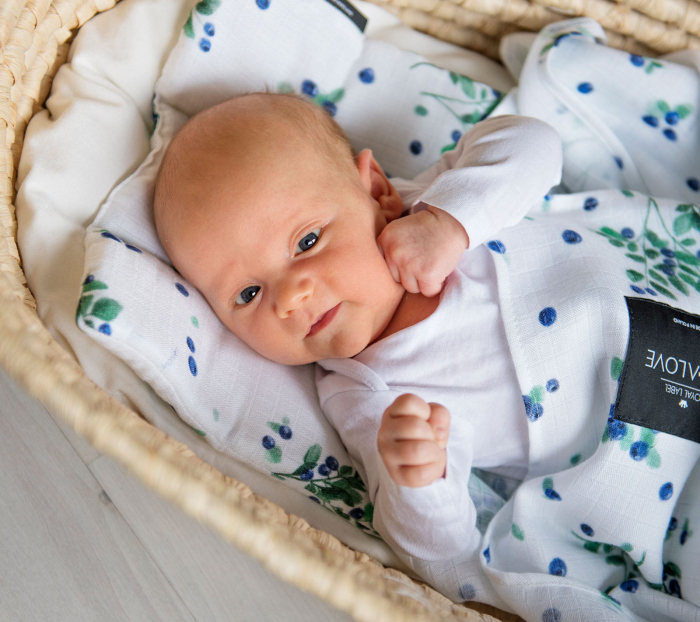 Muselina Bambus si Bumbac BlueBerries [3]