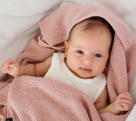 Paturica Light Merino Powder [1]