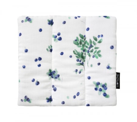 Perne si Pilote - Pernuta Plata BlueBerries