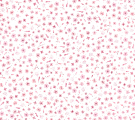 Set Perie Bebelusi (Medium) + Mini Muselina Rose Flowers [1]