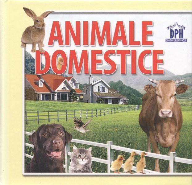 Animale Domestice - 14 Imagini Cu Animale Domestice,  - Editura DPH [1]