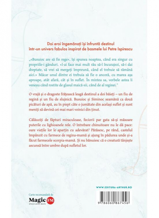 Apa, Praf Si Soare , C. Adriana Grigore - Editura Art [2]