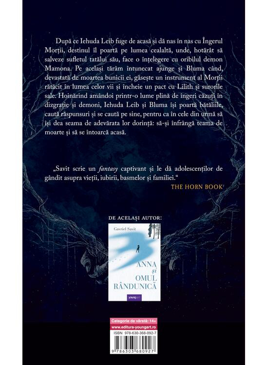 Drumul Spre Casa, Gavriel Savit - Editura Art [2]