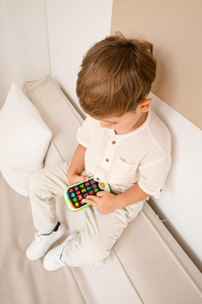 JUCARIE-TELEFONUL INTELIGENT [14]