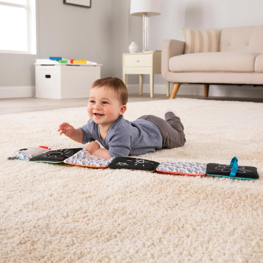 LAMAZE-CARTE COLORATA, CALATORIA OMIDEI [2]