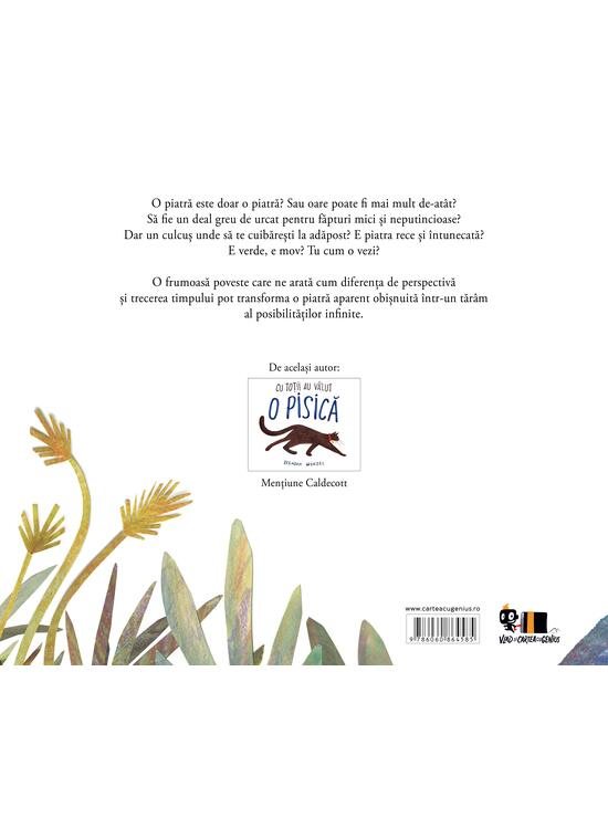 O Piatra Statea Nemiscata, Brendan Wenzel - Editura Art [2]