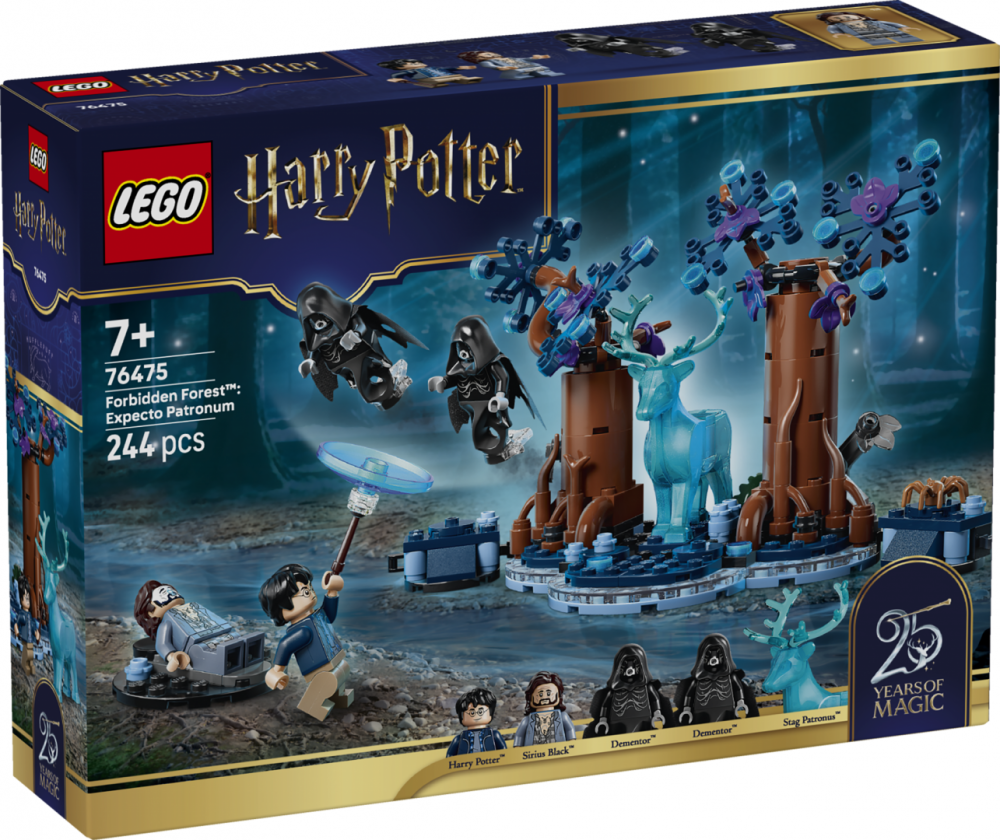 PADUREA INTERZISA: EXPECTO LEGO76475 [3]