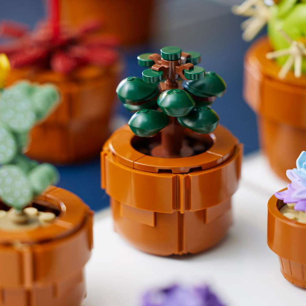 PLANTE DE MICI DIMENSIUNI, LEGO 10329 [7]