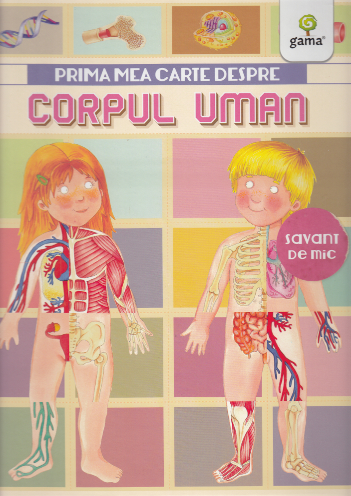 Prima Mea Carte Despre Corpul Uman, Renzo Barsotti - Editura Gama [1]