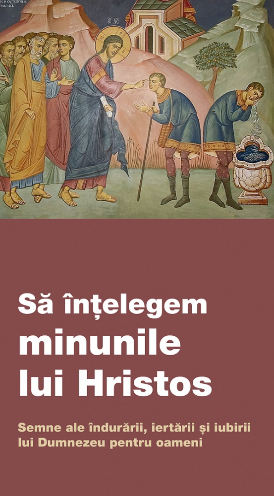 Sa Intelegem Minunile Lui Hristos. Semne Ale Indurarii, Iertarii Si Iubirii Lui Dumnezeu Pentru Oameni,  - Editura De Suflet [1]