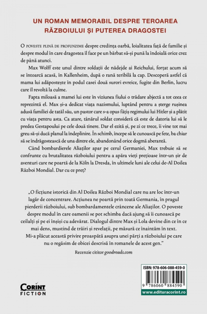 Secretul Fetelor Din Pod, Marius Gabriel - Editura Corint [2]