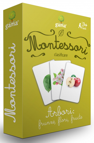 0-2 ani - Arbori: Frunze, Flori, Fructe,  - Editura Gama