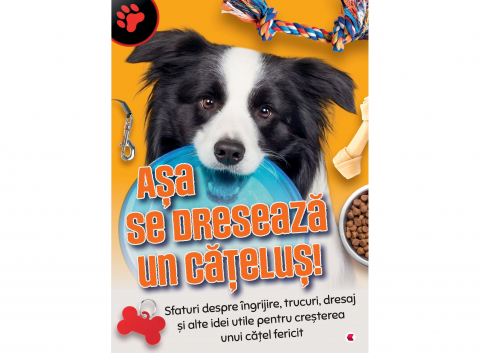 Grupe de varsta - Asa Se Dreseaza Un Catelus,  - Editura Kreativ
