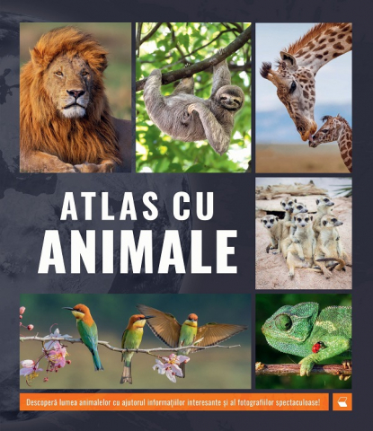 Carti - Atlas Cu Animale, - Editura Kreativ