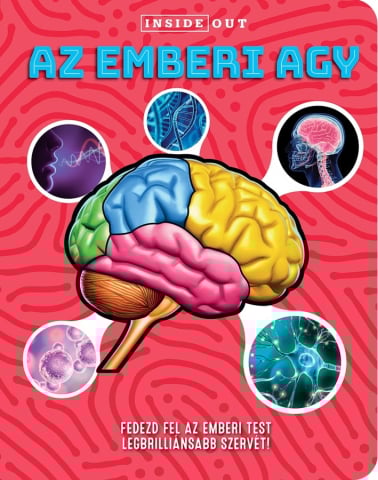 Grupe de varsta - Az Emberi Agy -3D,  - Editura Kreativ