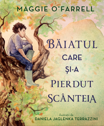 Fictiune - Baiatul Care Si-A Pierdut Scanteia, Maggie O’Farrell - Editura DPH
