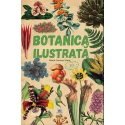 9-11 ani - Botanica Ilustrata, Maria Carmen Soria - Editura DPH
