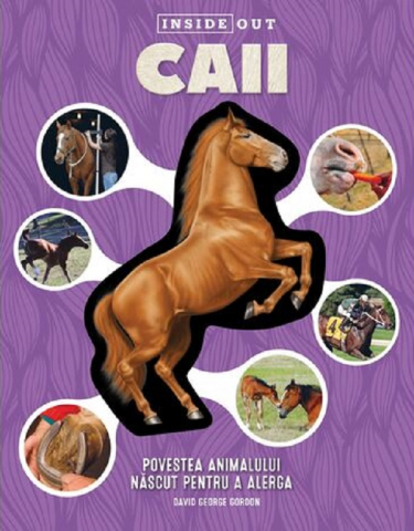 Carti de colorat - Caii, - Editura Kreativ