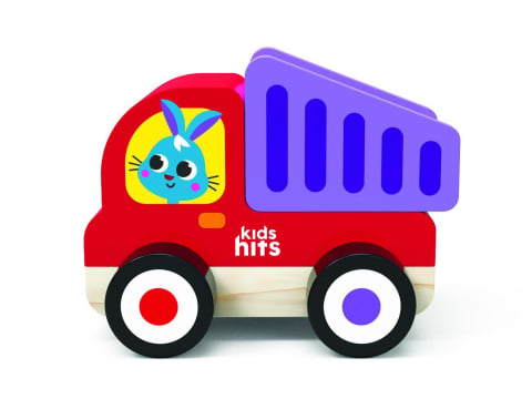 Carti - CAMION GUNOI, JUCARIE LEMN