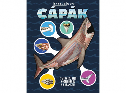 Carti - Cápák - 3D Modell, - Editura Kreativ