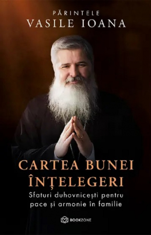 Carti - Cartea Bunei Înțelegeri, Vasile Ioana - Editura Bookzone