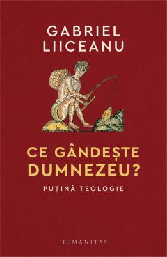 Ce Gandeste Dumnezeu? Putina Teologie, Gabriel Liiceanu  - Editura Humanitas