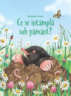 Univers Enciclopedic - Ce Se Intampla Sub Pamant , Emily Bone - Editura Univers Enciclopedic