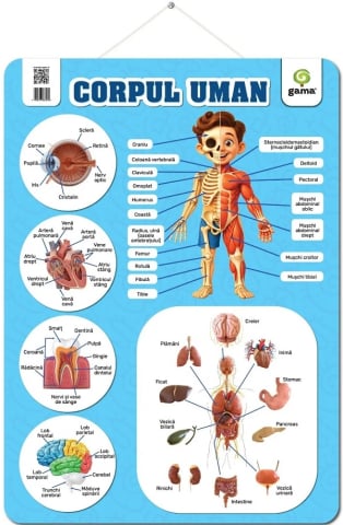 Gama - Corpul Uman,  - Editura Gama
