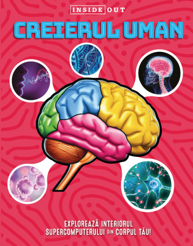 Carti educative - Creierul Uman Model 3D, - Editura Kreativ